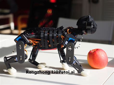 open cat robot kit usa|GitHub .
